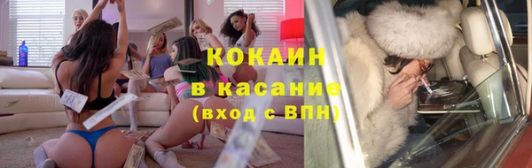 гидра Белокуриха