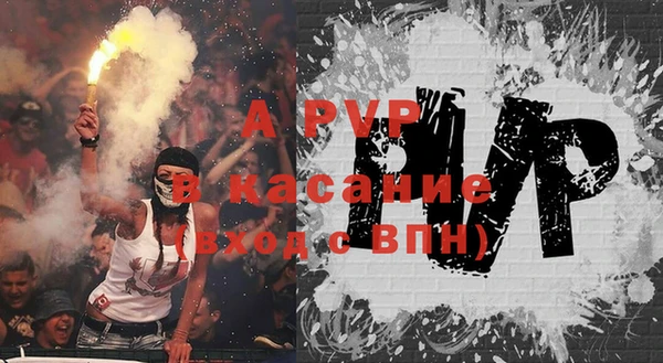 гидра Белокуриха